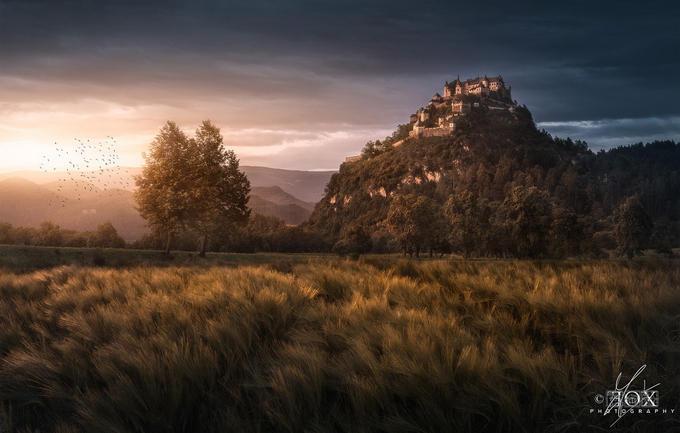 Enrico Fossati15.jpg