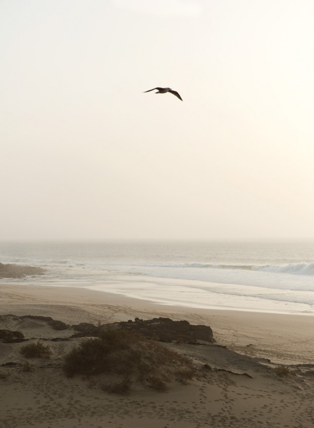 Becca-Horn-Fuerteventura-05-620x845.jpg