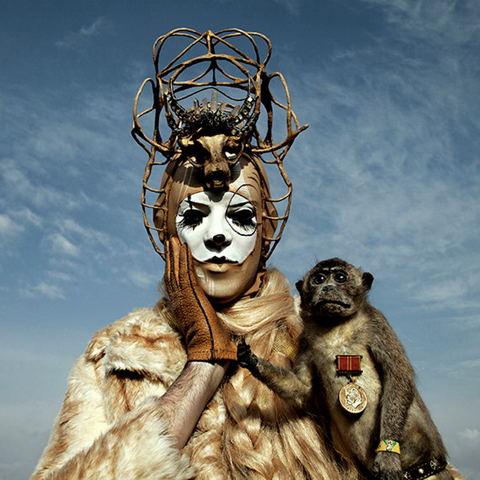 mothmeister13.jpg